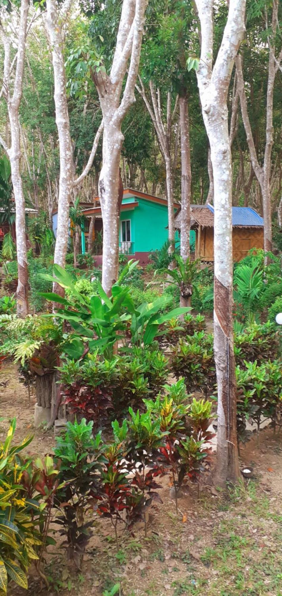 Lanta Maikeaw Bungalow Ko Lanta Eksteriør billede